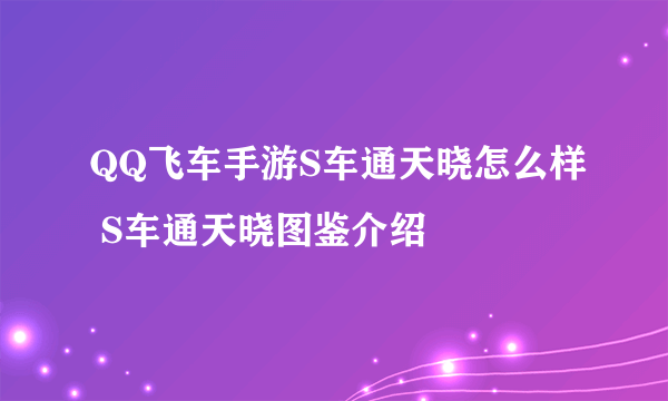 QQ飞车手游S车通天晓怎么样 S车通天晓图鉴介绍