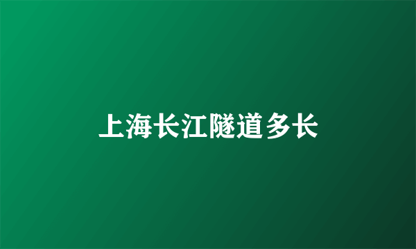 上海长江隧道多长