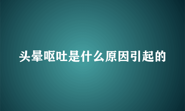 头晕呕吐是什么原因引起的