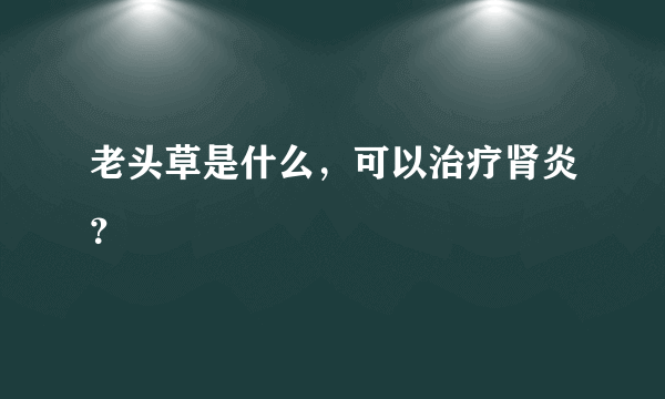 老头草是什么，可以治疗肾炎？