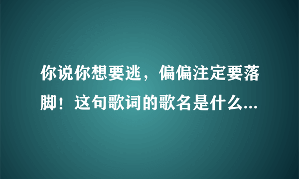 你说你想要逃，偏偏注定要落脚！这句歌词的歌名是什么呢？求解答！