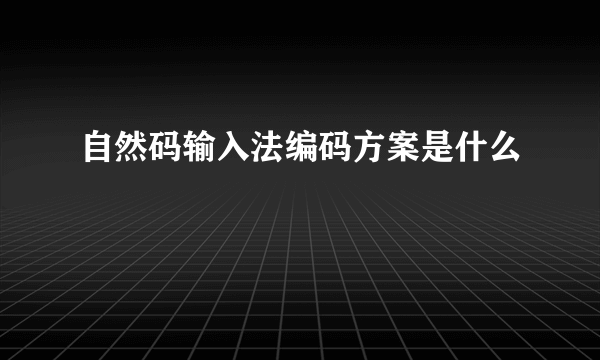 自然码输入法编码方案是什么