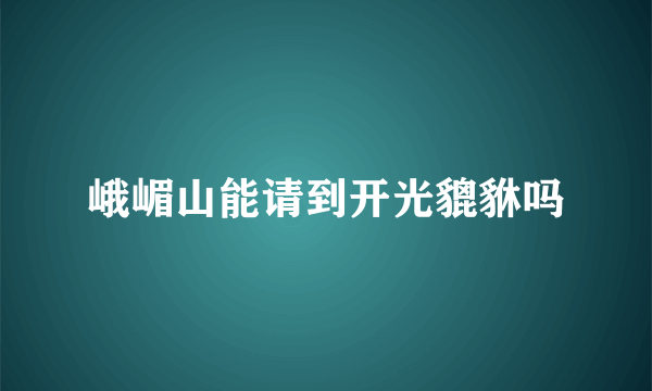 峨嵋山能请到开光貔貅吗