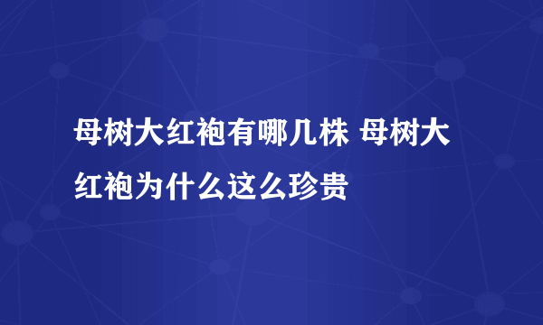 母树大红袍有哪几株 母树大红袍为什么这么珍贵