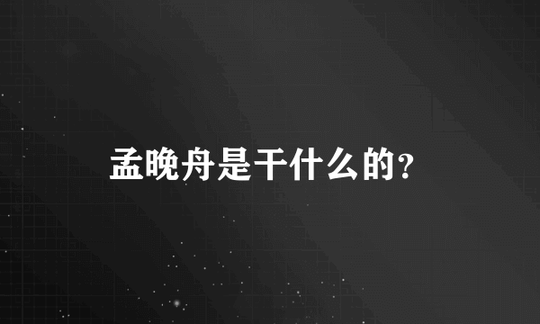 孟晚舟是干什么的？