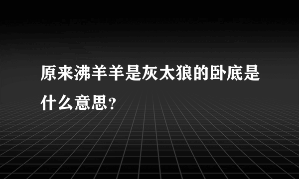 原来沸羊羊是灰太狼的卧底是什么意思？