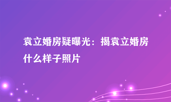 袁立婚房疑曝光：揭袁立婚房什么样子照片