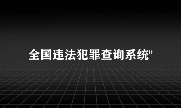 全国违法犯罪查询系统