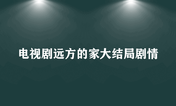 电视剧远方的家大结局剧情