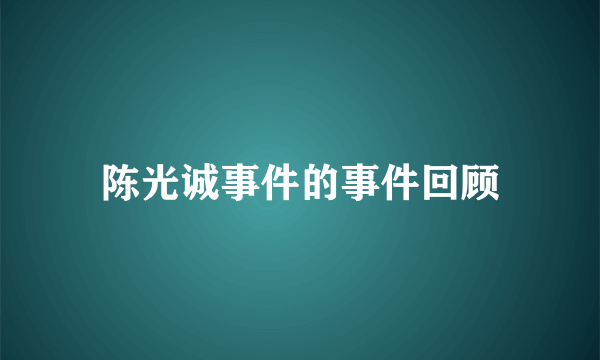 陈光诚事件的事件回顾