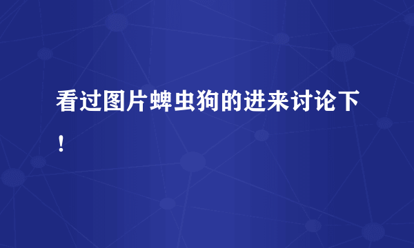 看过图片蜱虫狗的进来讨论下！