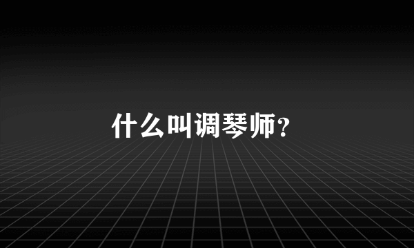 什么叫调琴师？