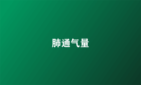 肺通气量