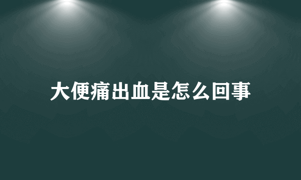 大便痛出血是怎么回事