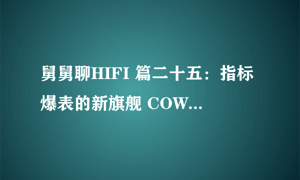 舅舅聊HIFI 篇二十五：指标爆表的新旗舰 COWON Plenue L播放器轻体验