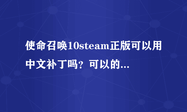 使命召唤10steam正版可以用中文补丁吗？可以的话求中文补丁。