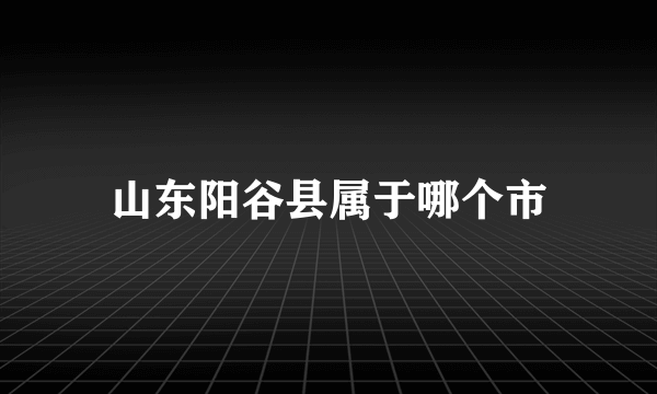 山东阳谷县属于哪个市