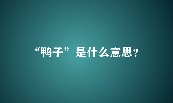 “鸭子”是什么意思？