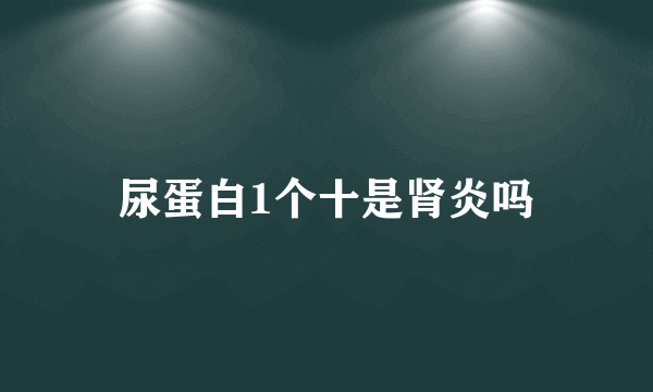 尿蛋白1个十是肾炎吗