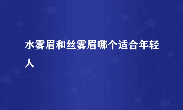 水雾眉和丝雾眉哪个适合年轻人