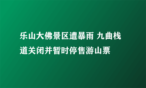 乐山大佛景区遭暴雨 九曲栈道关闭并暂时停售游山票