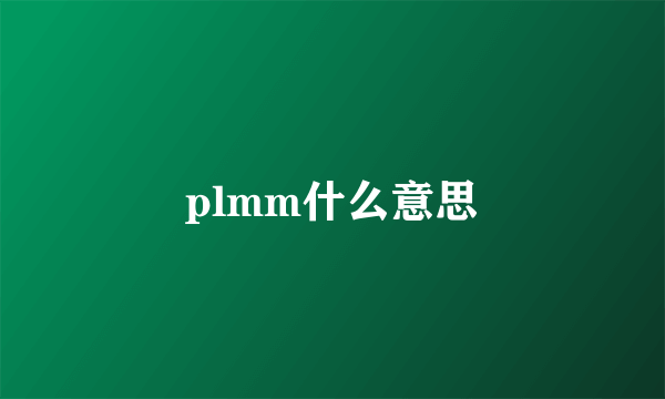 plmm什么意思