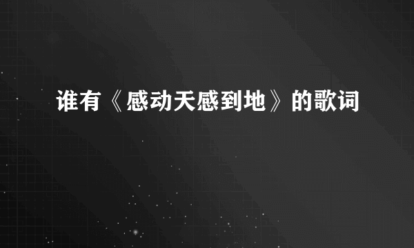 谁有《感动天感到地》的歌词