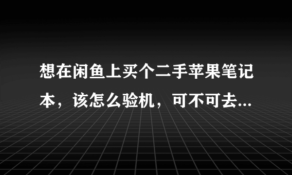 想在闲鱼上买个二手苹果笔记本，该怎么验机，可不可去专卖店或者售后验机，该怎么说？