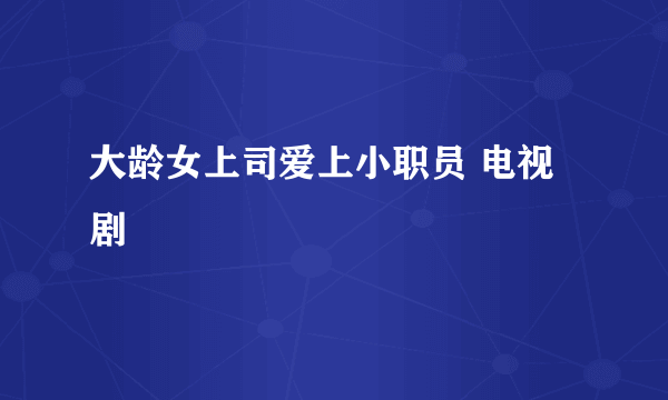 大龄女上司爱上小职员 电视剧