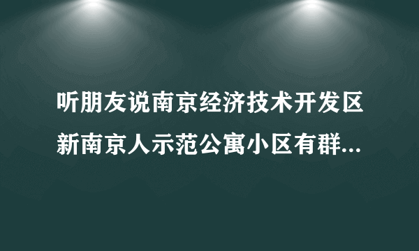 听朋友说南京经济技术开发区新南京人示范公寓小区有群租房？居住起来会不会感觉人员混杂比较乱？