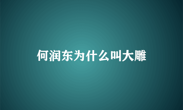 何润东为什么叫大雕