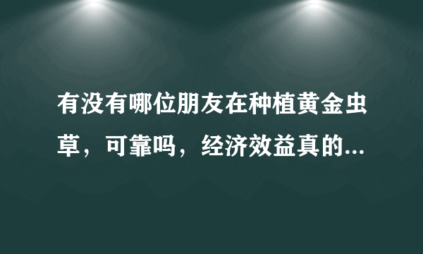 有没有哪位朋友在种植黄金虫草，可靠吗，经济效益真的有那么好吗