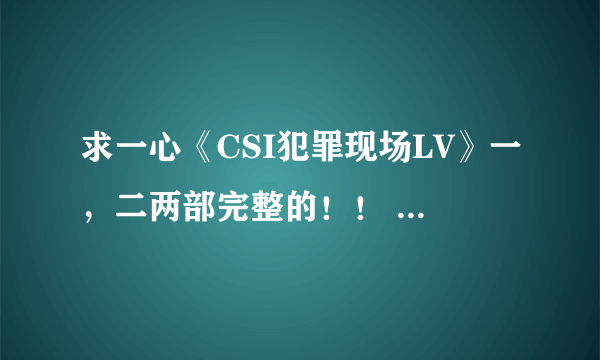 求一心《CSI犯罪现场LV》一，二两部完整的！！ 要txt格式小说，谢谢！