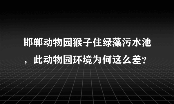 邯郸动物园猴子住绿藻污水池，此动物园环境为何这么差？