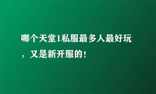 哪个天堂1私服最多人最好玩，又是新开服的！