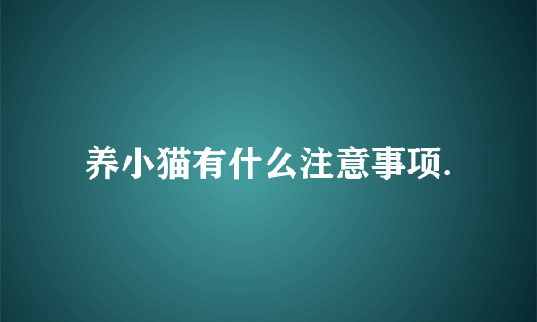 养小猫有什么注意事项.