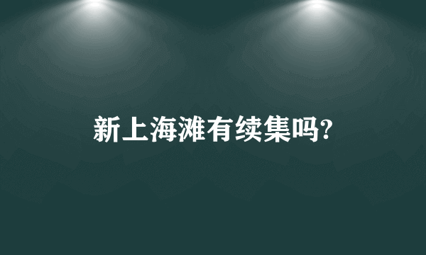 新上海滩有续集吗?