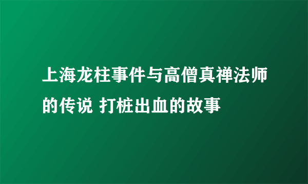 上海龙柱事件与高僧真禅法师的传说 打桩出血的故事