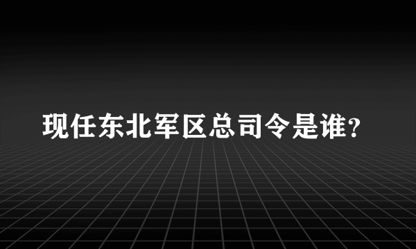 现任东北军区总司令是谁？