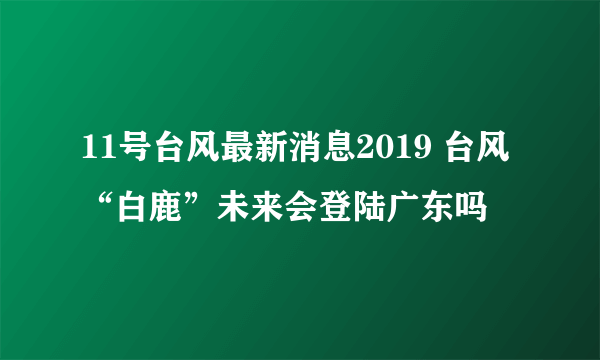 11号台风最新消息2019 台风“白鹿”未来会登陆广东吗