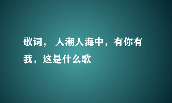 歌词， 人潮人海中，有你有我，这是什么歌