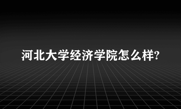 河北大学经济学院怎么样?