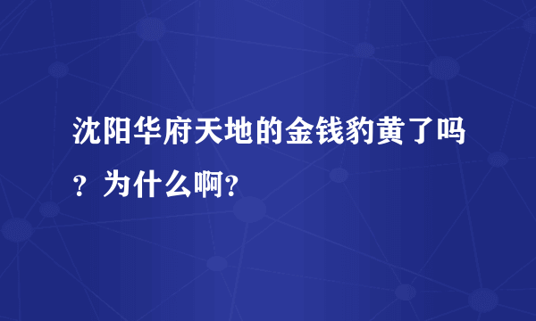 沈阳华府天地的金钱豹黄了吗？为什么啊？