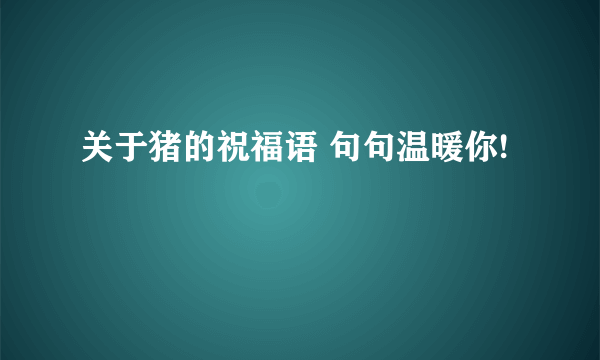 关于猪的祝福语 句句温暖你!