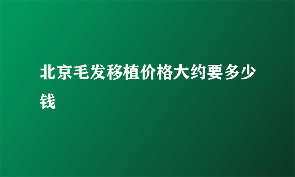 北京毛发移植价格大约要多少钱