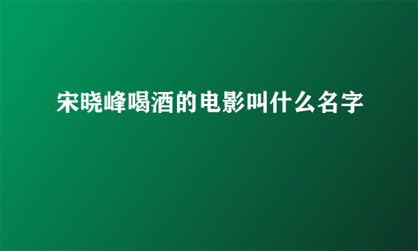 宋晓峰喝酒的电影叫什么名字