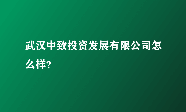 武汉中致投资发展有限公司怎么样？