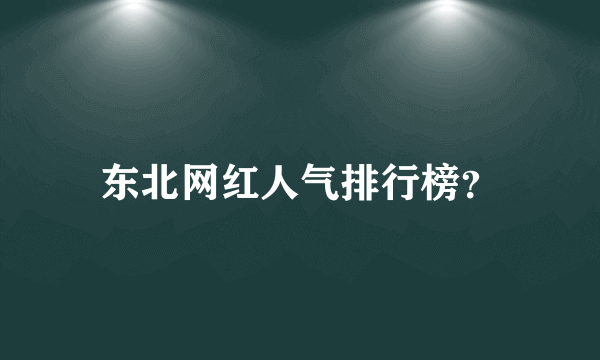 东北网红人气排行榜？