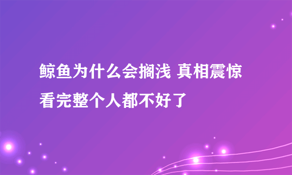 鲸鱼为什么会搁浅 真相震惊看完整个人都不好了