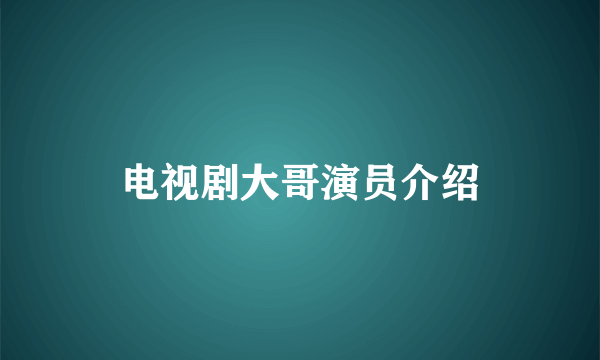 电视剧大哥演员介绍